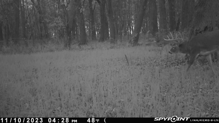 79 Acre Hunting Haven outside of Griffin, IN - image 16