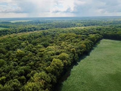 79 Acre Hunting Haven outside of Griffin, IN - image 11