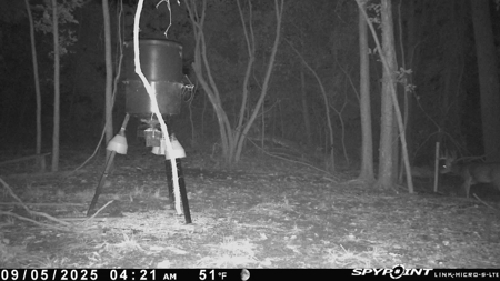 79 Acre Hunting Haven outside of Griffin, IN - image 42