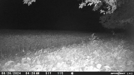 79 Acre Hunting Haven outside of Griffin, IN - image 38