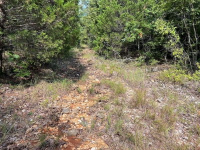 Vacant Land for Sale in the Northern Arkansas Ozarks - image 6