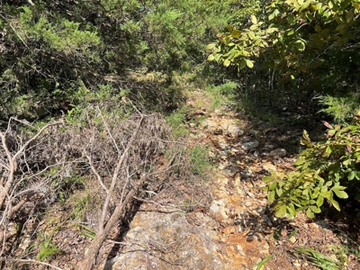 Vacant Land for Sale in the Northern Arkansas Ozarks - image 5