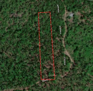 Vacant Land for Sale in the Northern Arkansas Ozarks - image 7