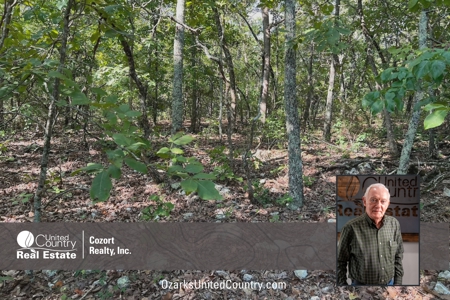 Vacant Land for Sale in the Northern Arkansas Ozarks - image 1