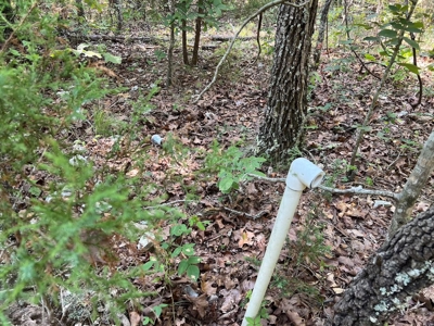 Vacant Land for Sale in the Northern Arkansas Ozarks - image 2