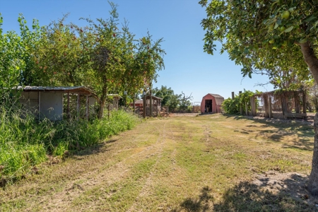 Colusa, California 10 Acre Ranches with Large Home for Sale - image 43