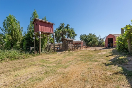 Colusa, California 10 Acre Ranches with Large Home for Sale - image 42