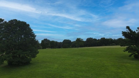 10-Acre Residential Lot for Sale in McKenzie, TN - image 15