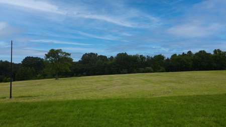 10-Acre Residential Lot for Sale in McKenzie, TN - image 14