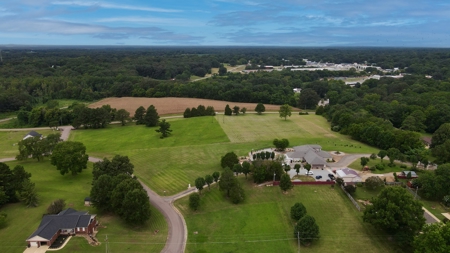 10-Acre Residential Lot for Sale in McKenzie, TN - image 8