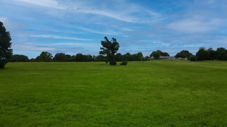 10-Acre Residential Lot for Sale in McKenzie, TN - image 3