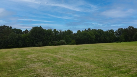 10-Acre Residential Lot for Sale in McKenzie, TN - image 12