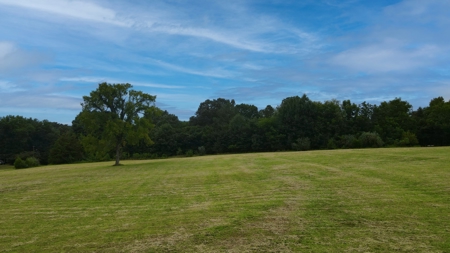 10-Acre Residential Lot for Sale in McKenzie, TN - image 13