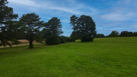 10-Acre Residential Lot for Sale in McKenzie, TN - image 10