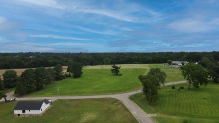 10-Acre Residential Lot for Sale in McKenzie, TN - image 2