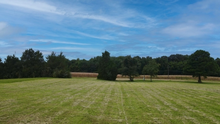 10-Acre Residential Lot for Sale in McKenzie, TN - image 11