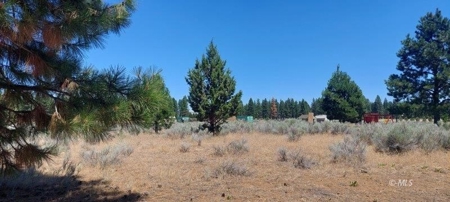 Eagle’s Nest RV Park For Sale, 20 Spaces & Clubhouse - image 13
