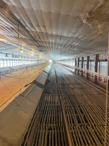 Poultry Turnkey 3 house Breeder Farm Mississippi - image 27
