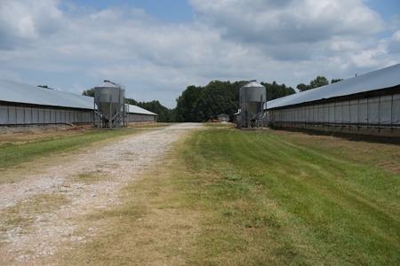 Poultry Turnkey 3 house Breeder Farm Mississippi - image 7