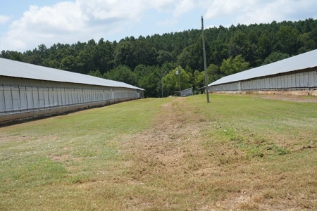 Poultry Turnkey 3 house Breeder Farm Mississippi - image 8