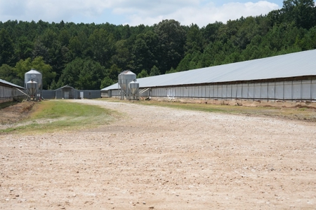 Poultry Turnkey 3 house Breeder Farm Mississippi - image 24