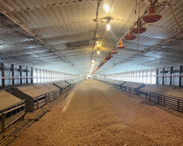 Poultry Turnkey 3 house Breeder Farm Mississippi - image 32