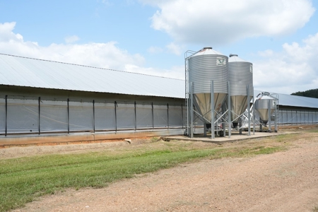 Poultry Turnkey 3 house Breeder Farm Mississippi - image 14