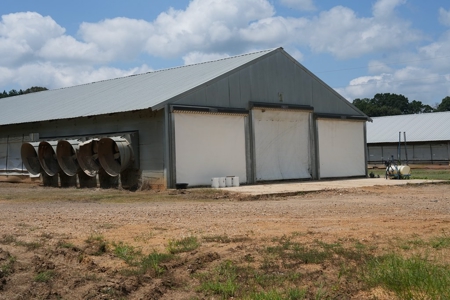 Poultry Turnkey 3 house Breeder Farm Mississippi - image 3