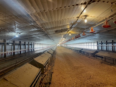 Poultry Turnkey 3 house Breeder Farm Mississippi - image 30