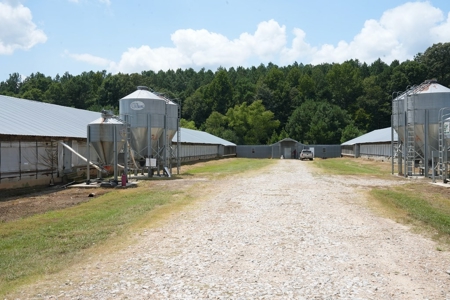 Poultry Turnkey 3 house Breeder Farm Mississippi - image 10