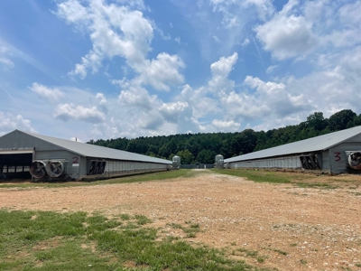 Poultry Turnkey 3 house Breeder Farm Mississippi - image 33