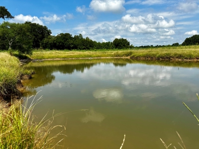 Land for sale Cottonwood, Alabama - image 10