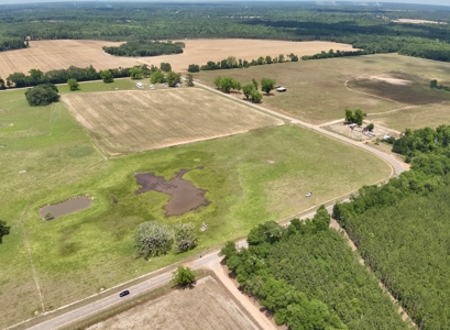 Land for sale Cottonwood, Alabama - image 14