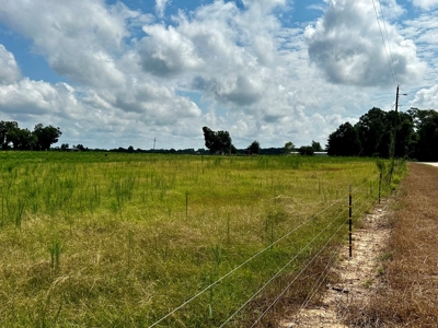 Land for sale Cottonwood, Alabama - image 2