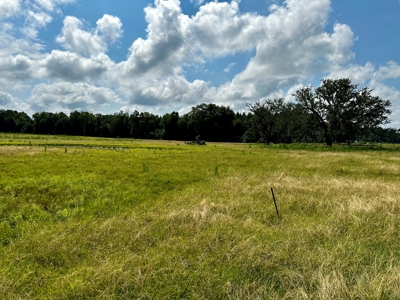 Land for sale Cottonwood, Alabama - image 9