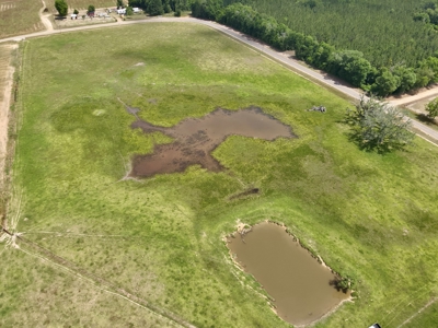 Land for sale Cottonwood, Alabama - image 16