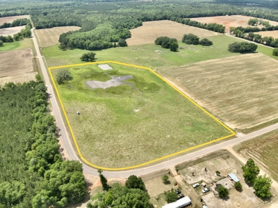 Land for sale Cottonwood, Alabama - image 13