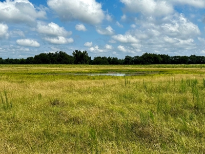 Land for sale Cottonwood, Alabama - image 3