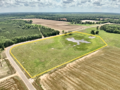 Land for sale Cottonwood, Alabama - image 12