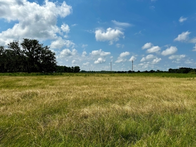 Land for sale Cottonwood, Alabama - image 11