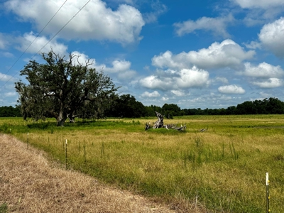 Land for sale Cottonwood, Alabama - image 1