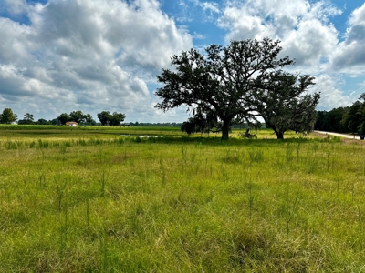 Land for sale Cottonwood, Alabama - image 5