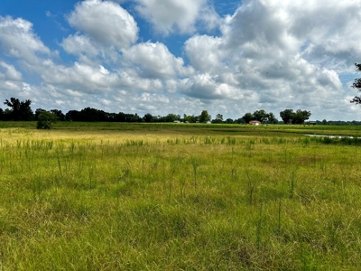Land for sale Cottonwood, Alabama - image 6