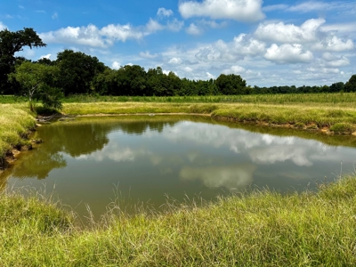 Land for sale Cottonwood, Alabama - image 8