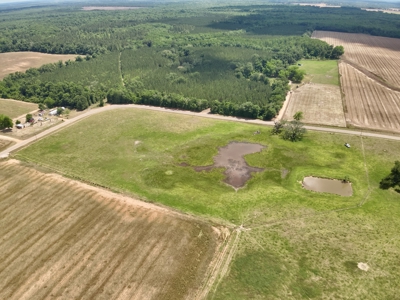 Land for sale Cottonwood, Alabama - image 15