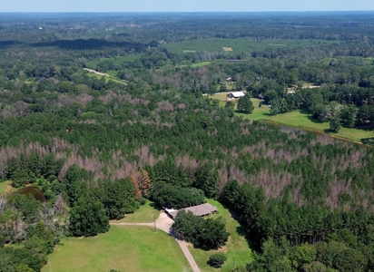 Spacious Renovated Home with Acreage in Liberty, MS - image 45