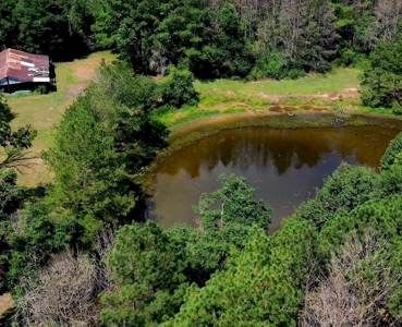 Spacious Renovated Home with Acreage in Liberty, MS - image 41