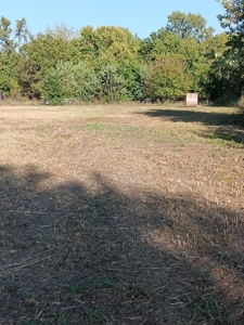 10 Acres of Commercial Land in Neosho, Missouri for Sale - image 14