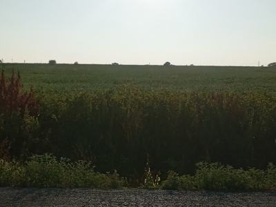 10 Acres of Commercial Land in Neosho, Missouri for Sale - image 2