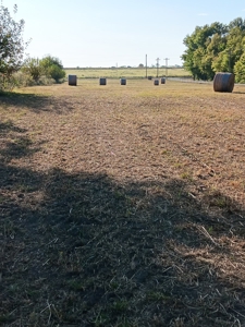 10 Acres of Commercial Land in Neosho, Missouri for Sale - image 17